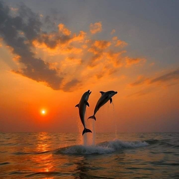 LIVE Pop-up Show Round II- 10pm CST 5/26- Bags, SWIM, Accessories, Clothing - Picture 10 of 15